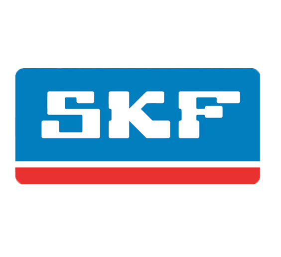 SKF Bearings